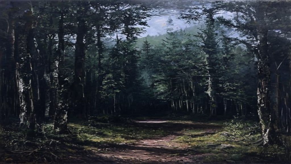 Hoia‑Baciu Forest
