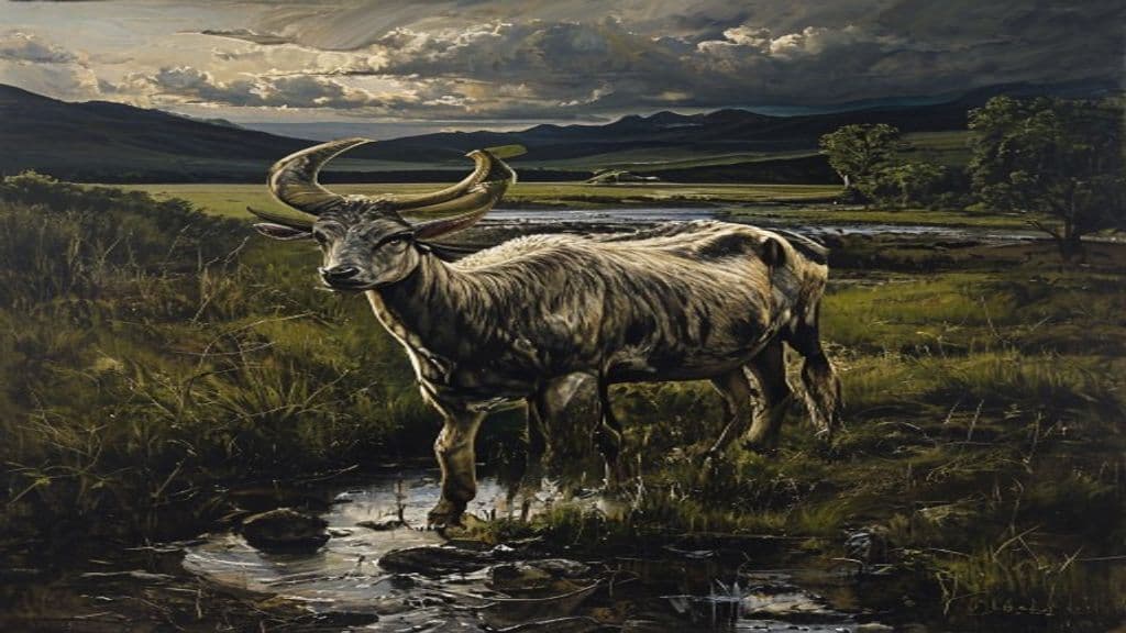 La Vaca