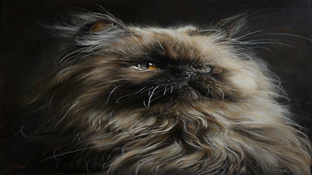 Persian Cat (Persian Tradition)