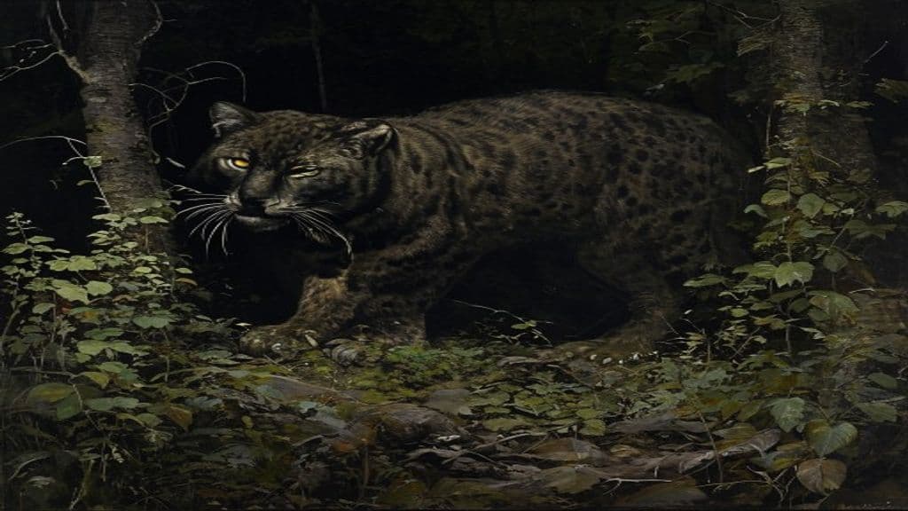 British big cats