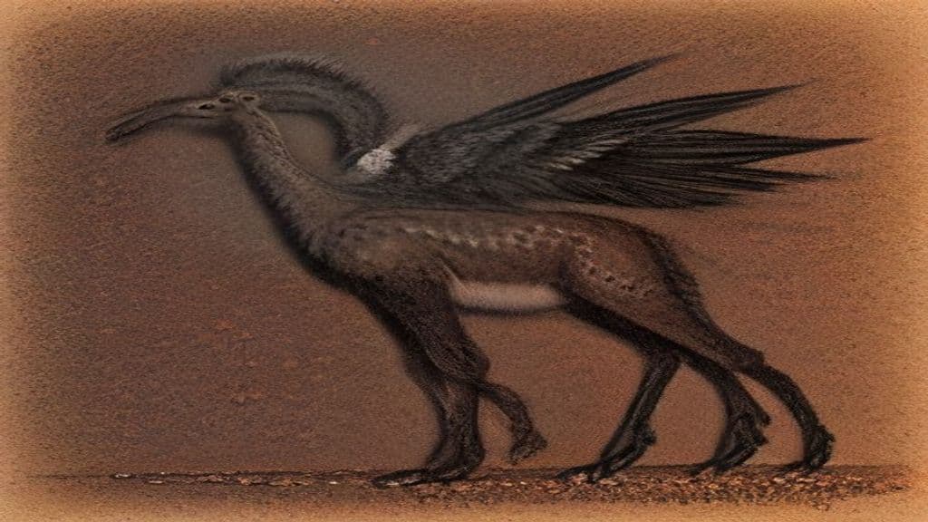 Daramulum