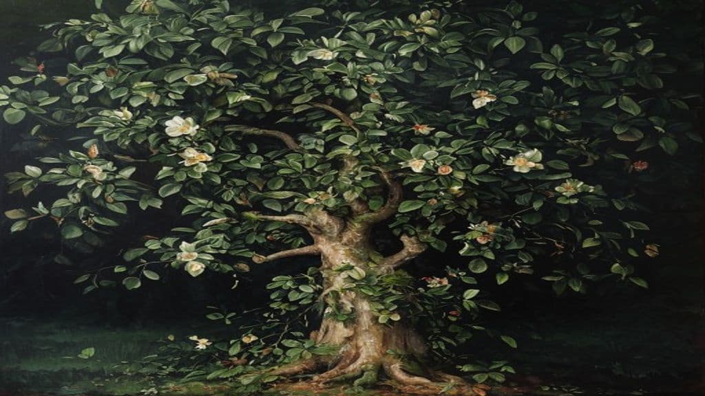 Lime Tree (Germanic Tradition)